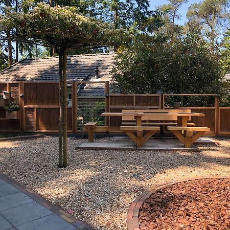Veluwe Vakantiehuis - Bosuil Lodge Lunteren Eksteriør bilde